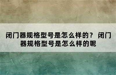 闭门器规格型号是怎么样的？ 闭门器规格型号是怎么样的呢